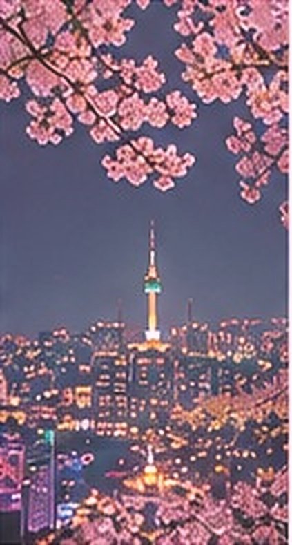 Cerezos en flor y la torre de Namsan de noche en Seúl